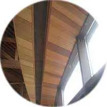 красный кедр