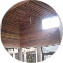 кедр ароматический