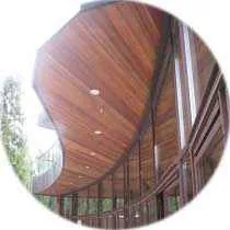 ароматический кедр