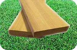 полог кедр канадский пестрый